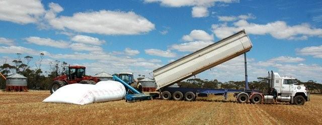 SA Grain Services