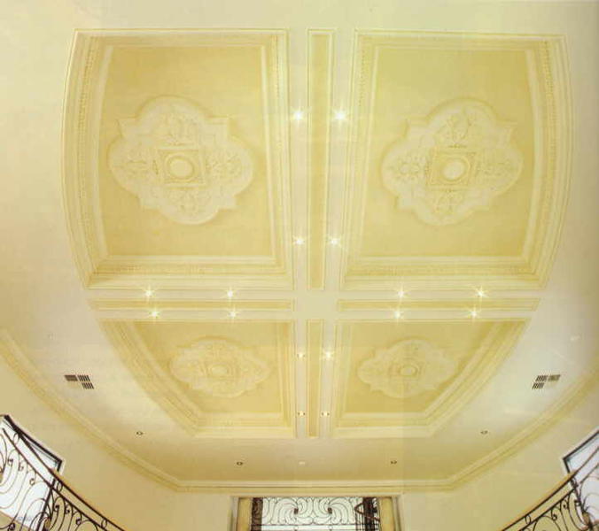 Chris Savage Plaster Designs