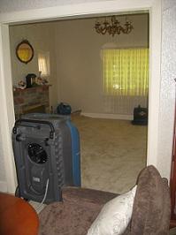 Palace Carpet Care and Restoration