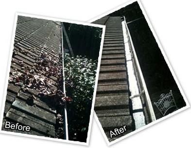SGC Sydney Gutter Cleaning: Lynbara Avenue St