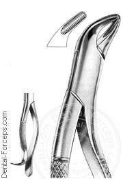 Dental-Forceps