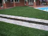 Gecko Premium Synthetic Grass