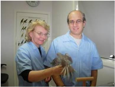 Bird Vet Melbourne