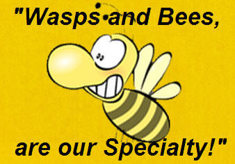 Bee & Wasp Removals: Sydney