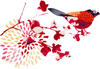 The Designer Bird