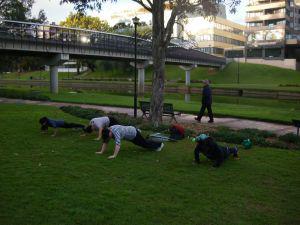 Unleashed Training: Parramatta