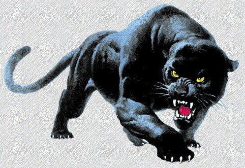 Black Cat Electrical & Automation