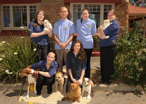 Walkerville Vet