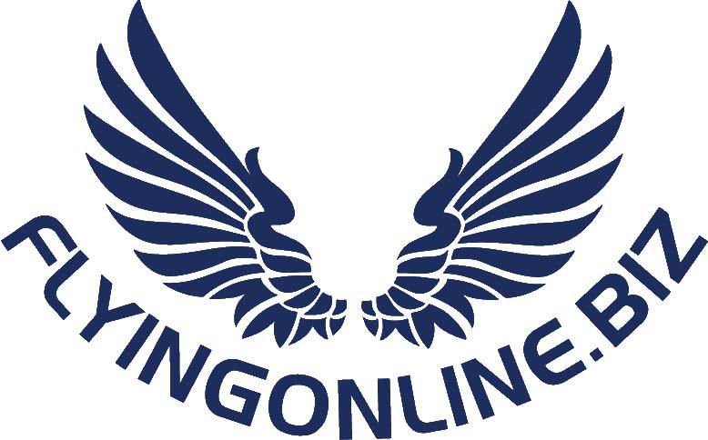Flying Online Biz