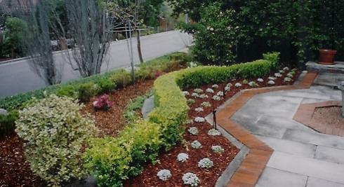NS Landscaping and Tree & Garden Service
