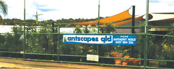 Antscapes Qld