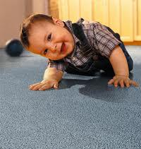 Carpet Cleaning: Mordialloc