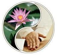 Elementals WellBeing logo