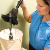 Carpet Cleaning: Glenroy