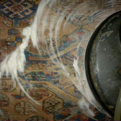 Carpet Cleaning Kensington