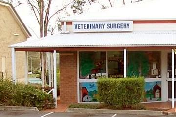 Cusack Lane Veterinary Surgery