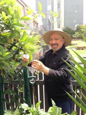 The Soil Secret
