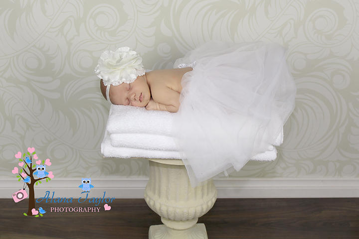 Alana Taylor Photography