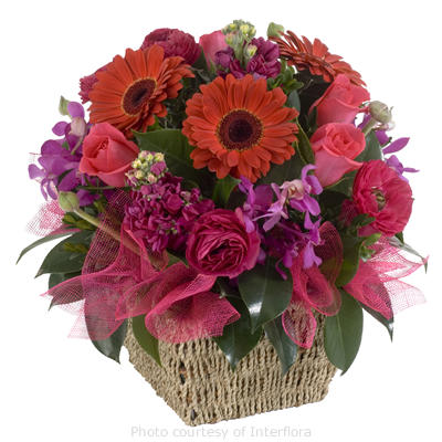 Maleny Montville Florist
