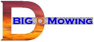 Big D Mowing: Gympie logo