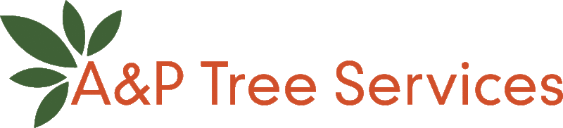 A & P Tree Services
