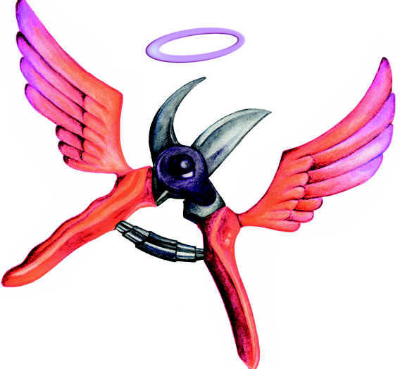 Active Angels