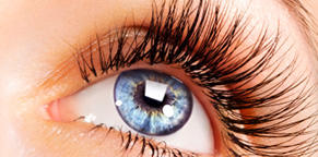Lash Pro logo