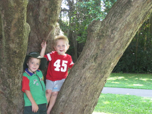 Skilled Trees