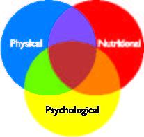 Healthkick Consulting
