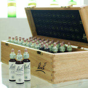 Bach Flower Therapist
