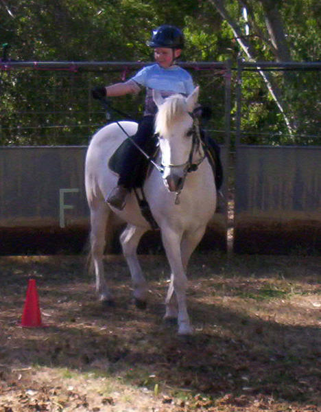 Ashcroft Horsemanship