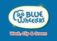 Blue Wheelers