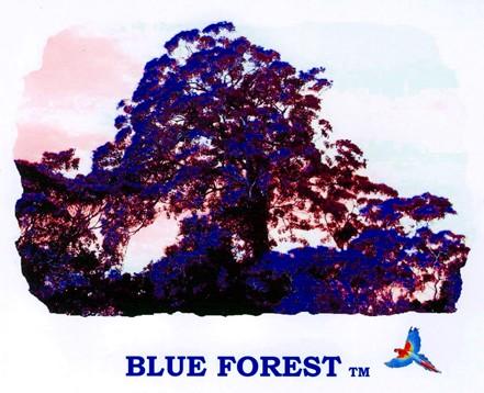 Blue Forest