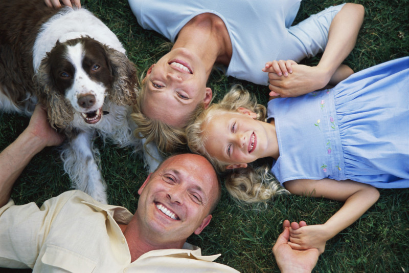Distinctive Dogs
