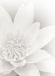 Cloud Nine Yoga 