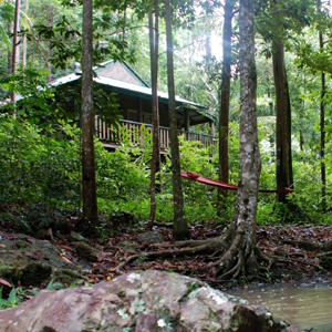 Narrows Escape Rainforest Retreat