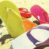 Beach House Rentals