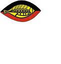 Nungera Cooperative Society