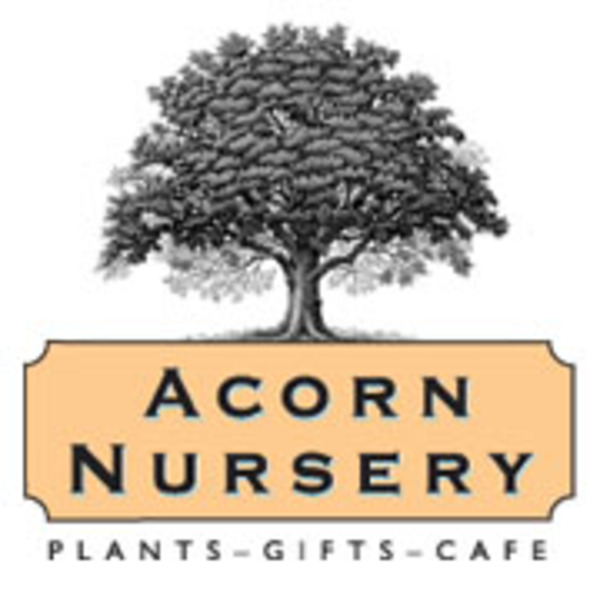 Acorn Nursery Melbourne