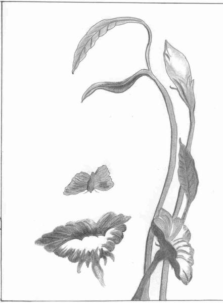 My Flower Lady logo
