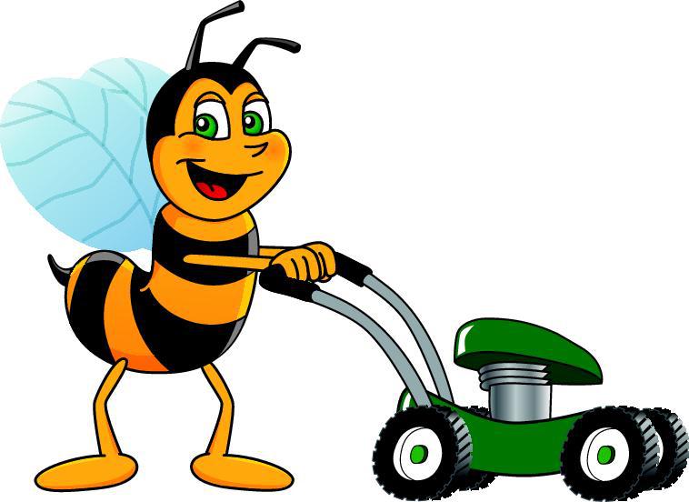 Ezy Bee's Lawn Mowing and Garden Care