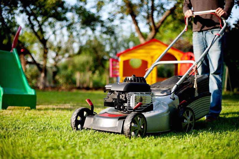 Lawn Mowgul