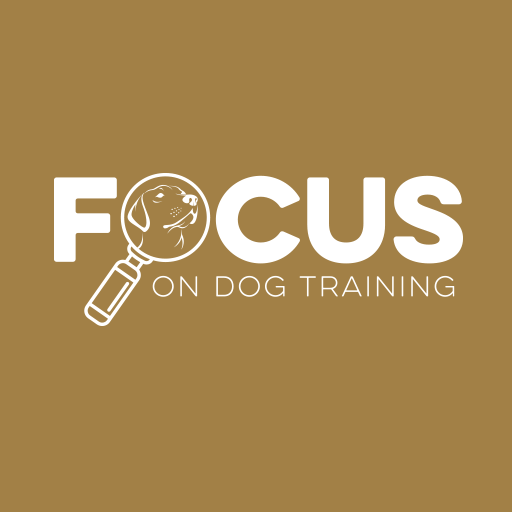 Focus On Dog Training