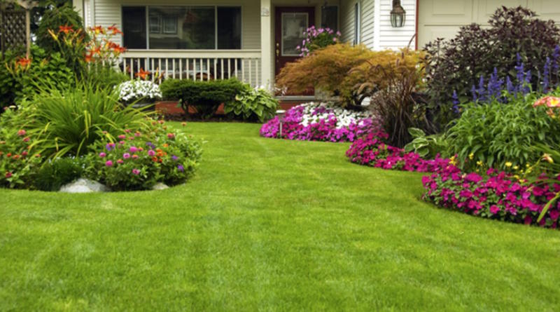 Professional Garden Creation &  Property Maintenance