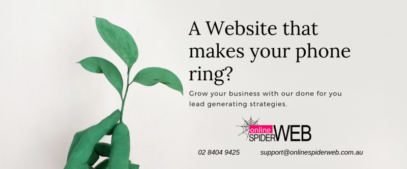 Online Spiderweb