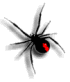 Redback Graphics