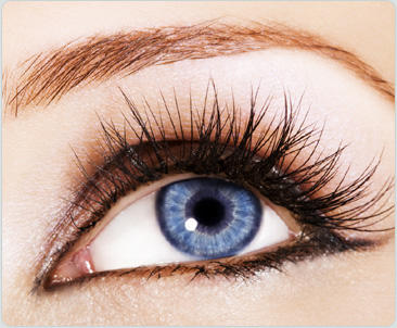 Beautiful Lashes