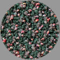 Raines Carpets