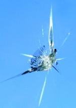 Bullseye Windscreen Repairs