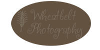 Wheatbelt Photography